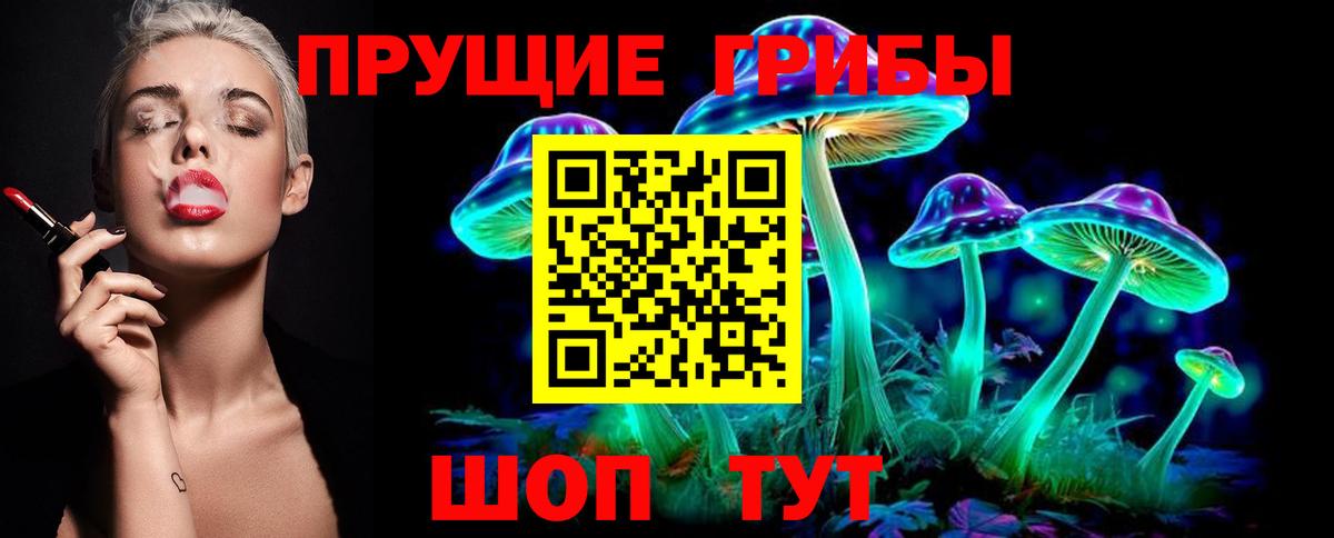 Медногорск  Псилоцибиновые грибы ЛСД  Псилоцибиновые грибы Cubensis  Вход с VPN 